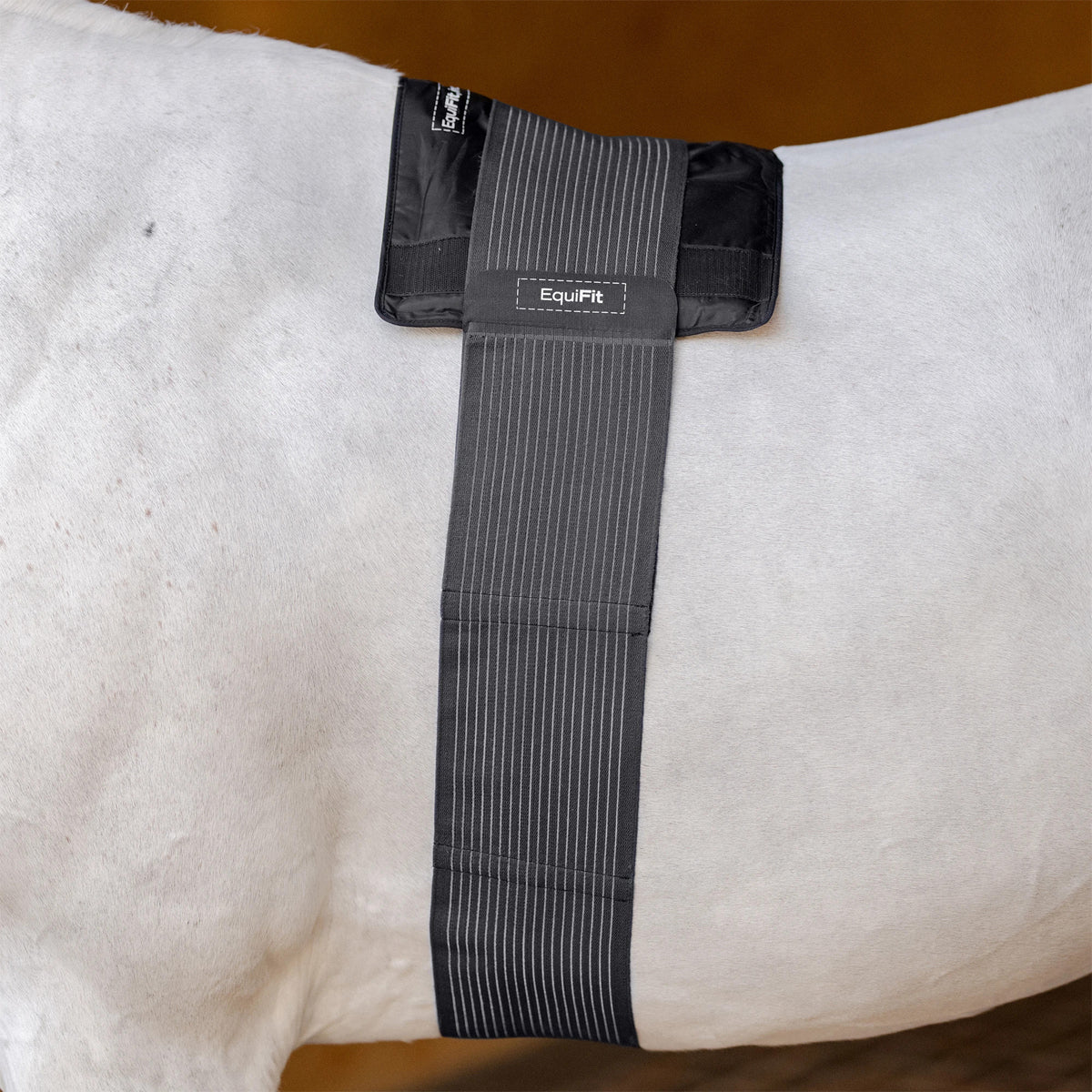 EquiFit® Hot/cold Therapy Gel Compression Back Pack