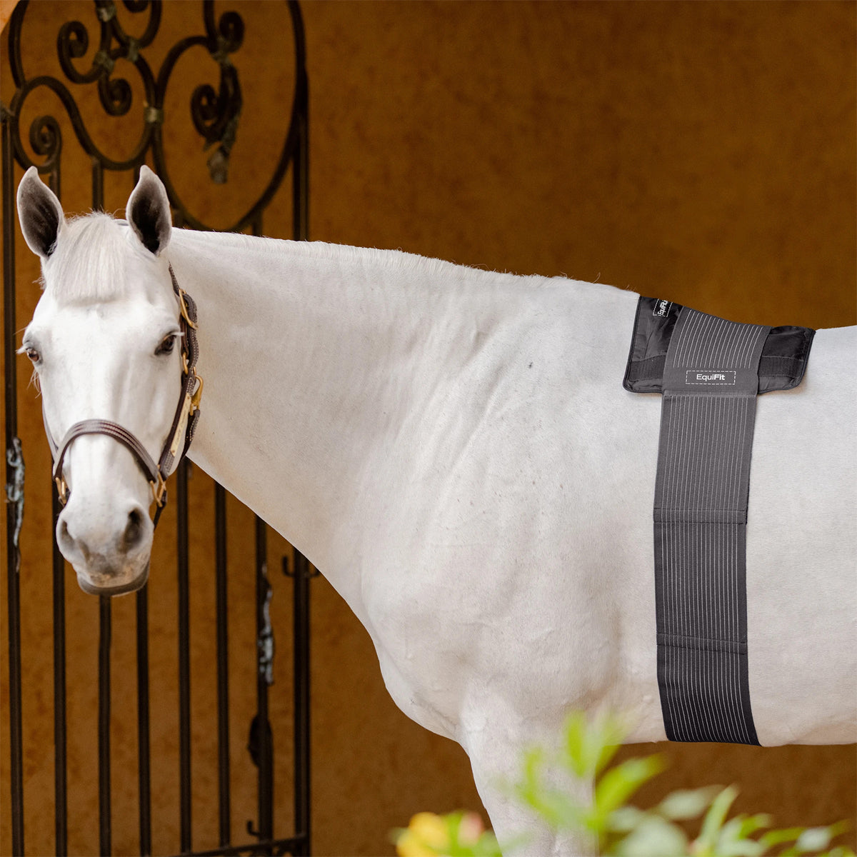 EquiFit® Hot/cold Therapy Gel Compression Back Pack