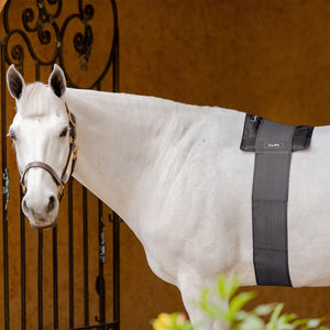 EquiFit® Hot/cold Therapy Gel Compression Back Pack
