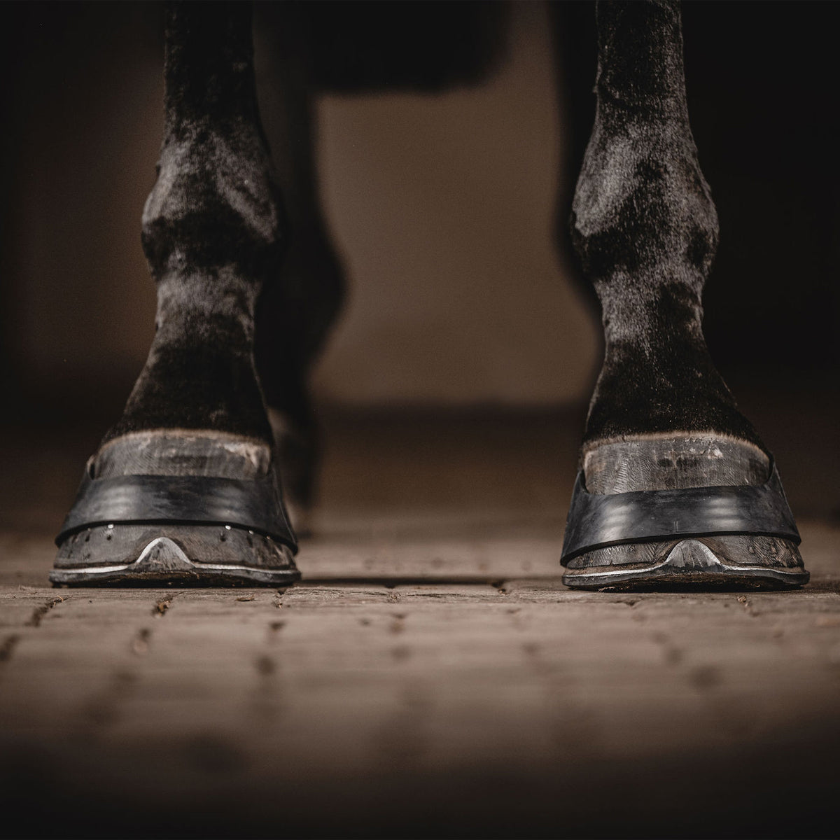One Equestrian Hoofbands Rubber