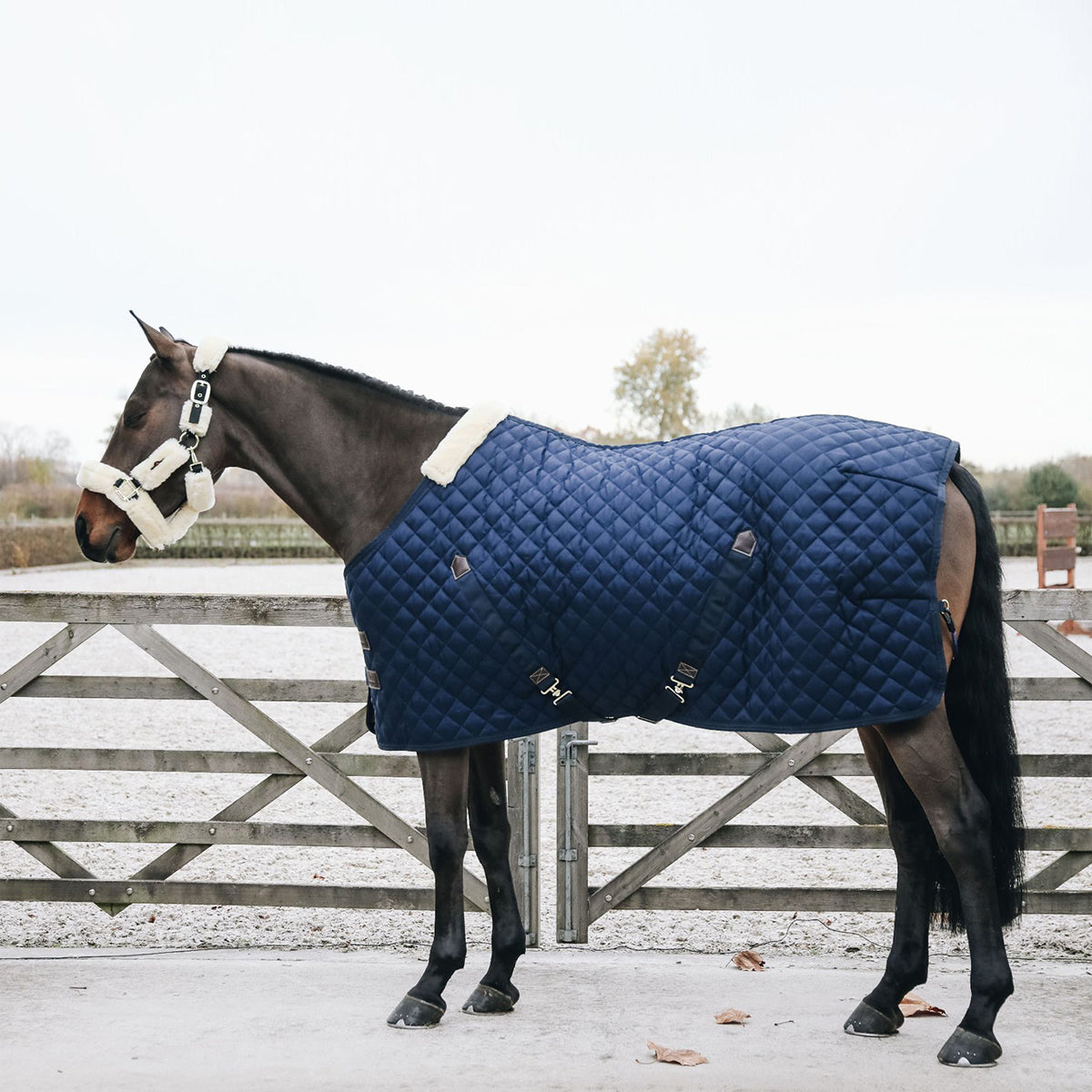 Kentucky Stable Rug 200 gram