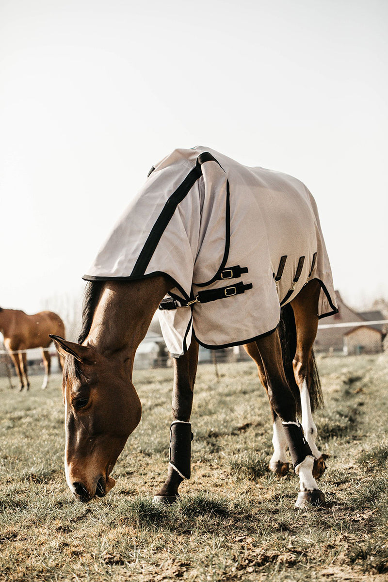 Kentucky Mesh Fly Rug