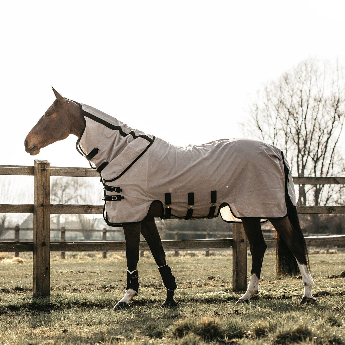 Kentucky Mesh Fly Rug