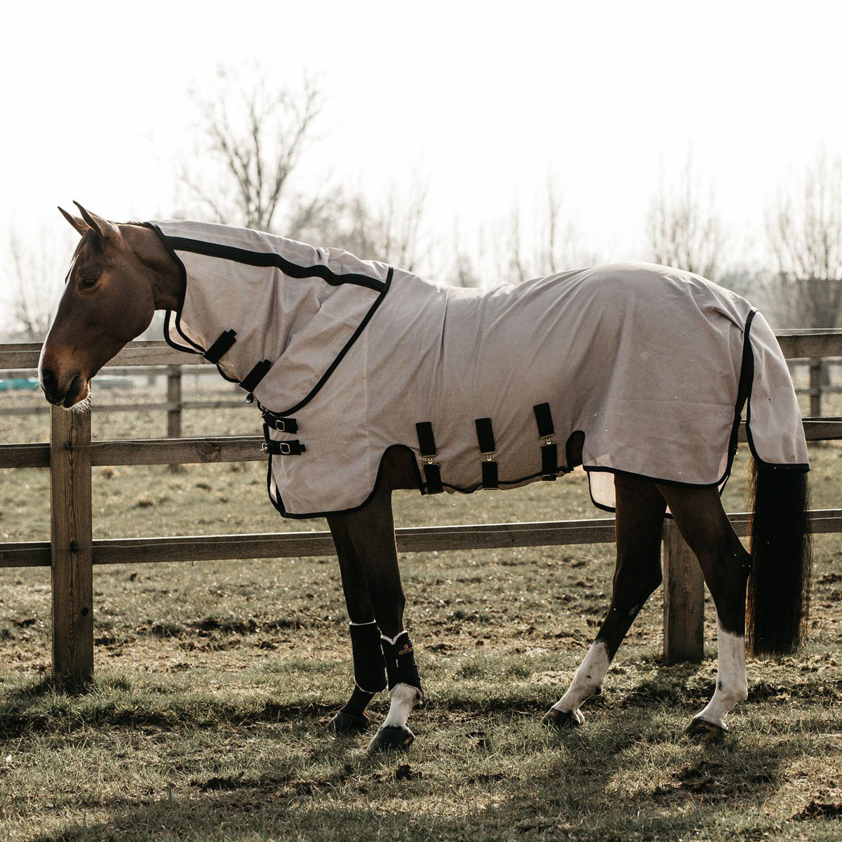 Kentucky Mesh Fly Rug