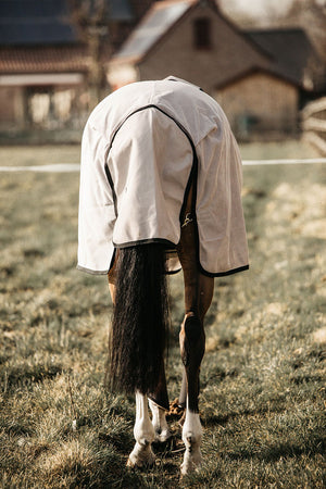 Kentucky Mesh Fly Rug