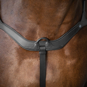 DY'ON Anatomical Breastplate New English Collection