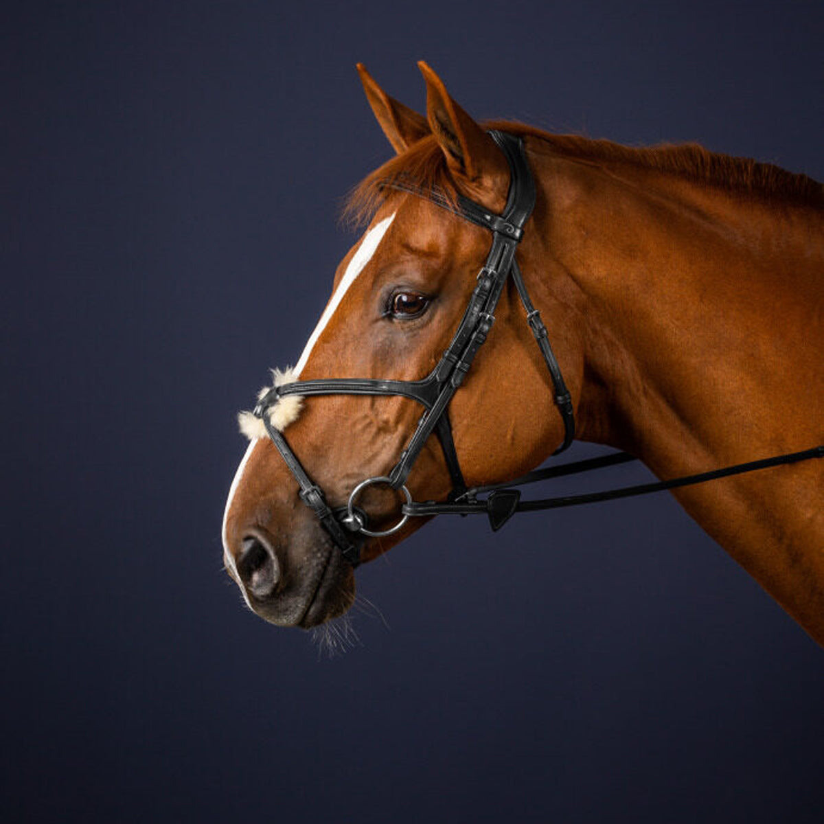 DY'ON Fig 8 Noseband Bridle New English Collection