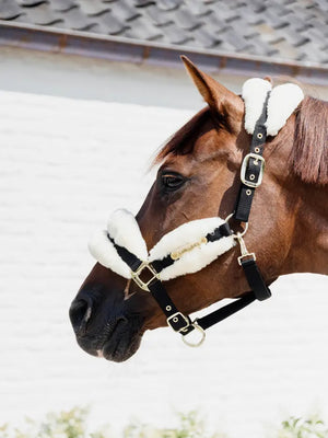 Kentucky Nylon Sheepskin Halter Soft