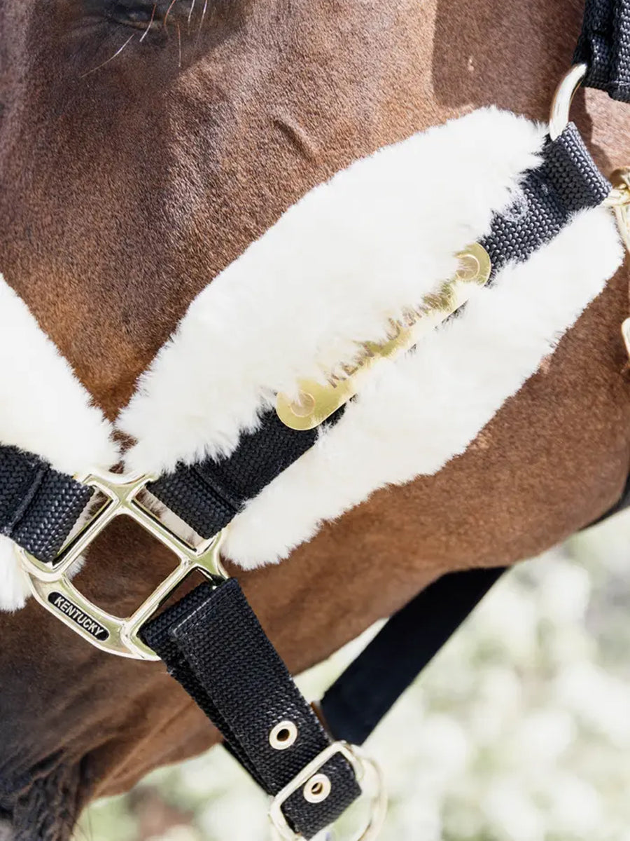 Kentucky Nylon Sheepskin Halter Soft