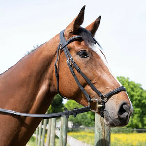 Antares Origin Anatomic Drop Noseband Bridle