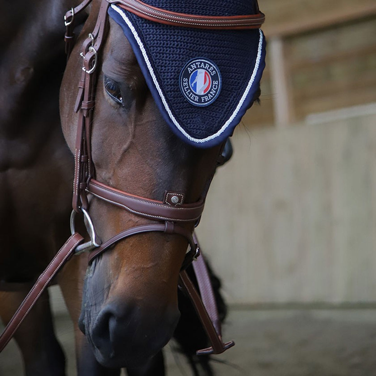 Antares Flash Nose Band Bridle
