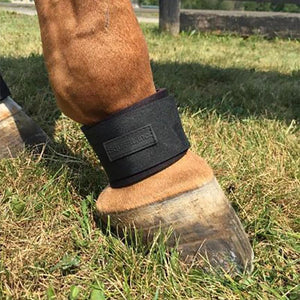 EquiFit® SheepsWool™ PasternWrap™
