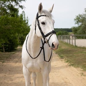 Antares Precision Comfort Bridle Noseband