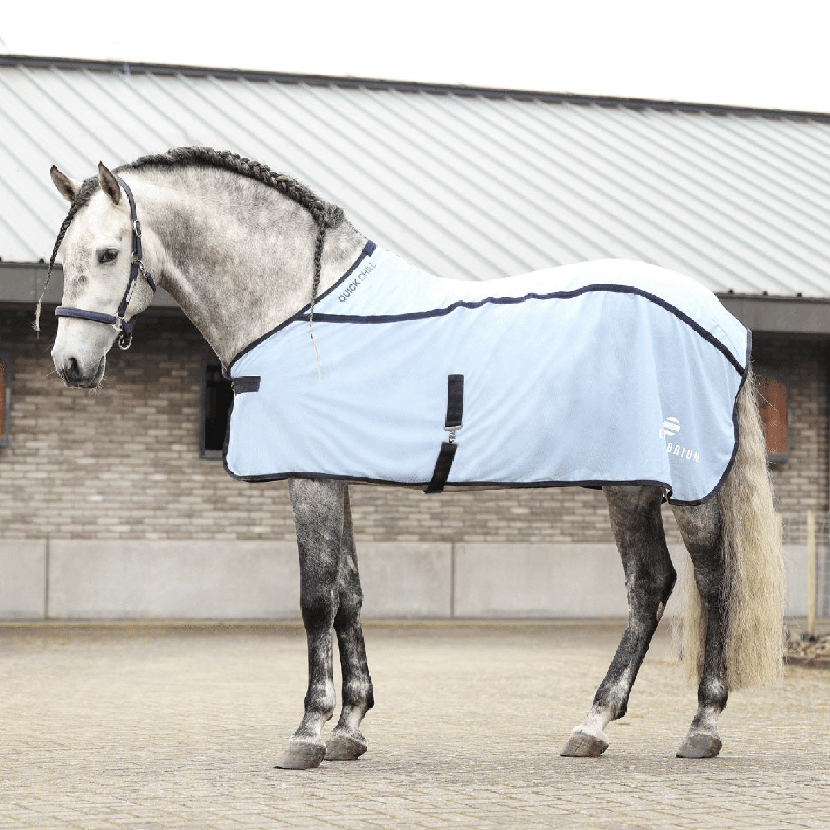 Equilibrium® Quick Chill Cool Rug