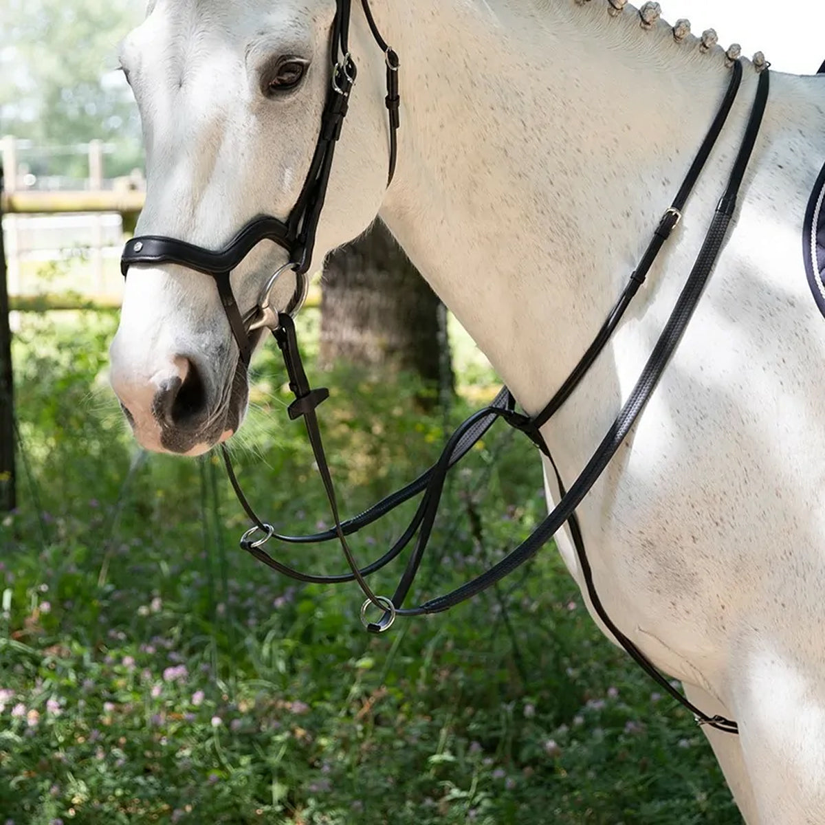 Antares Running Martingale