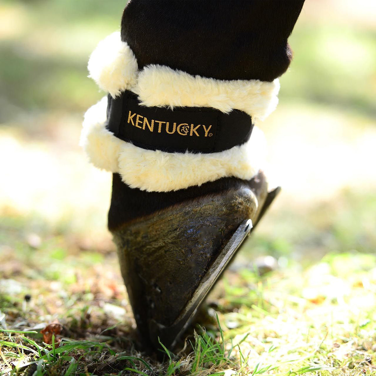 Kentucky Sheepskin Pastern Wrap
