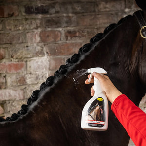 Smart Grooming Perfect Plaits
