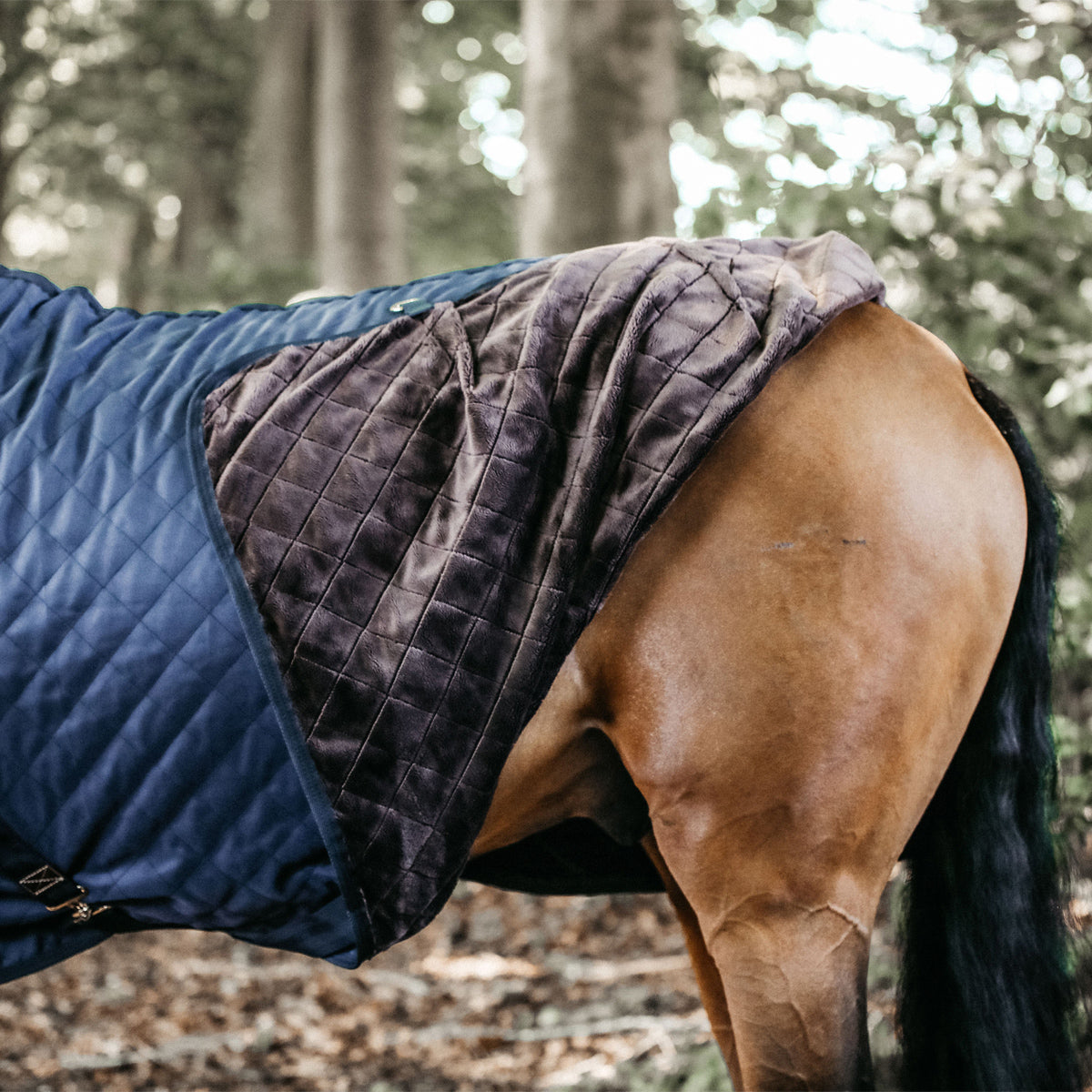 Kentucky Stable Rug 0g
