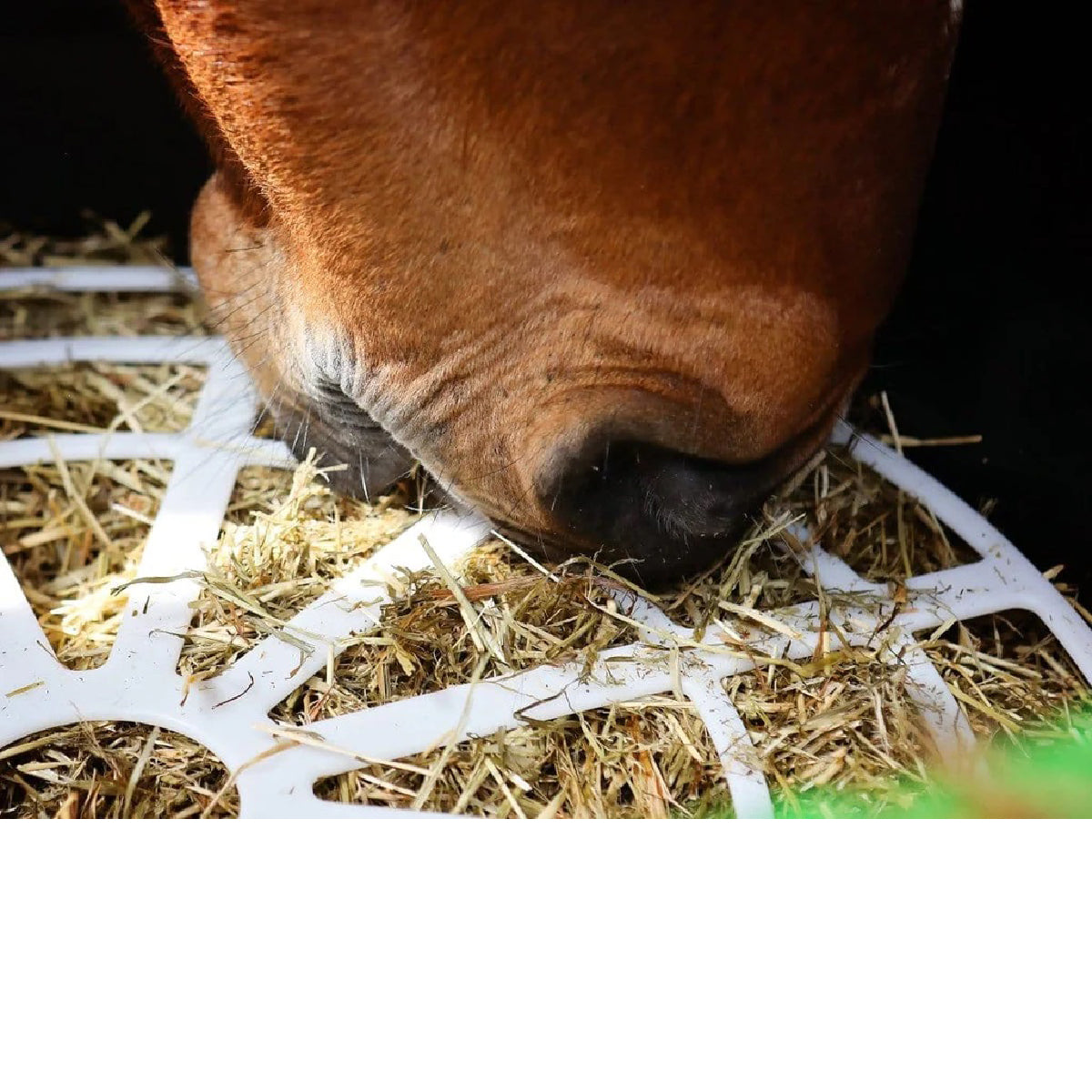 Haygain® Forager