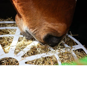 Haygain® Forager