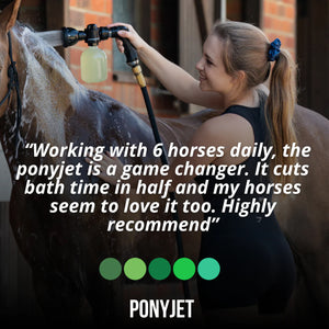 Ponyjet 3.0