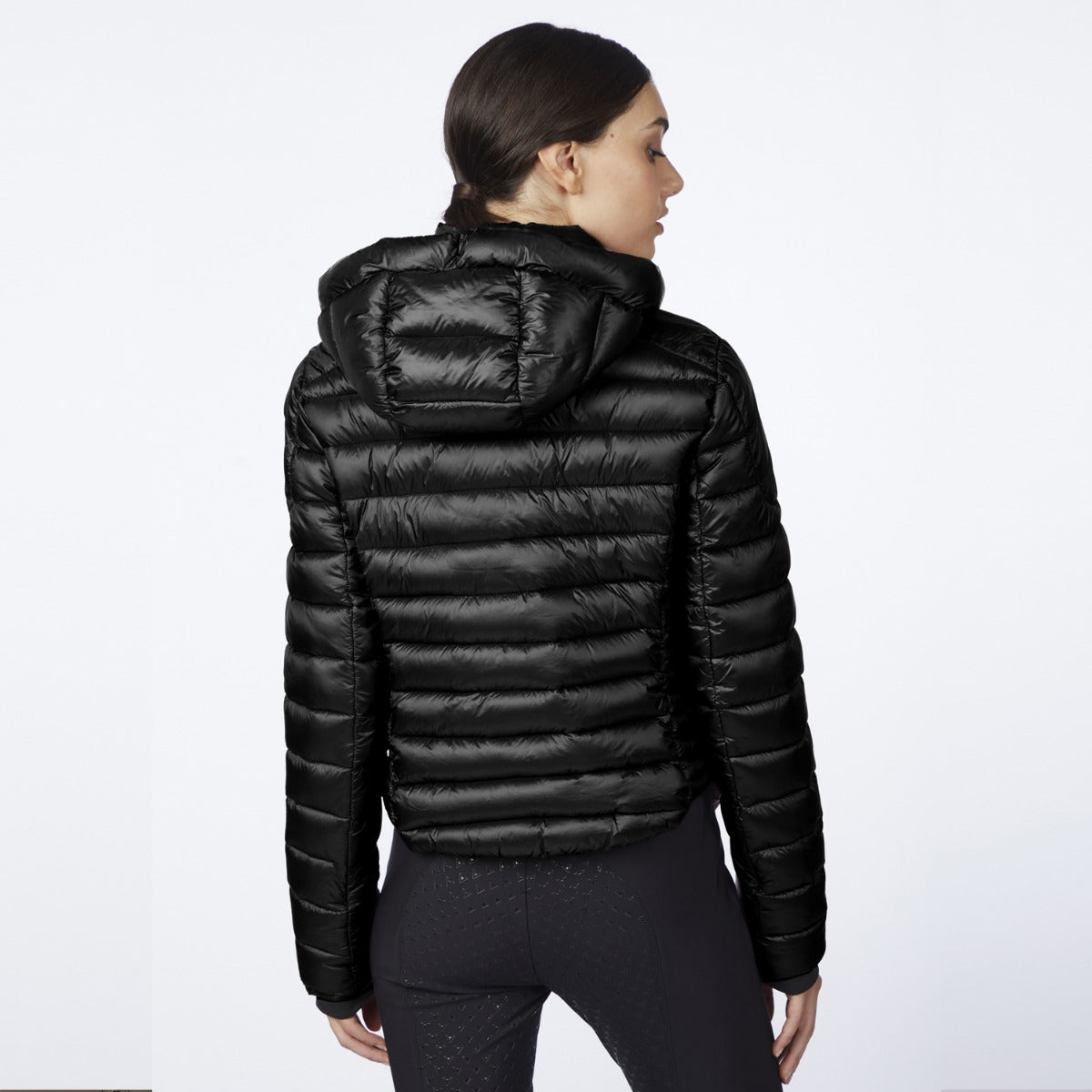 Vestrum Women's Lab Polluce Jacket