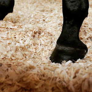 Plospan Wood Shavings ‘Excellent’ Fiber