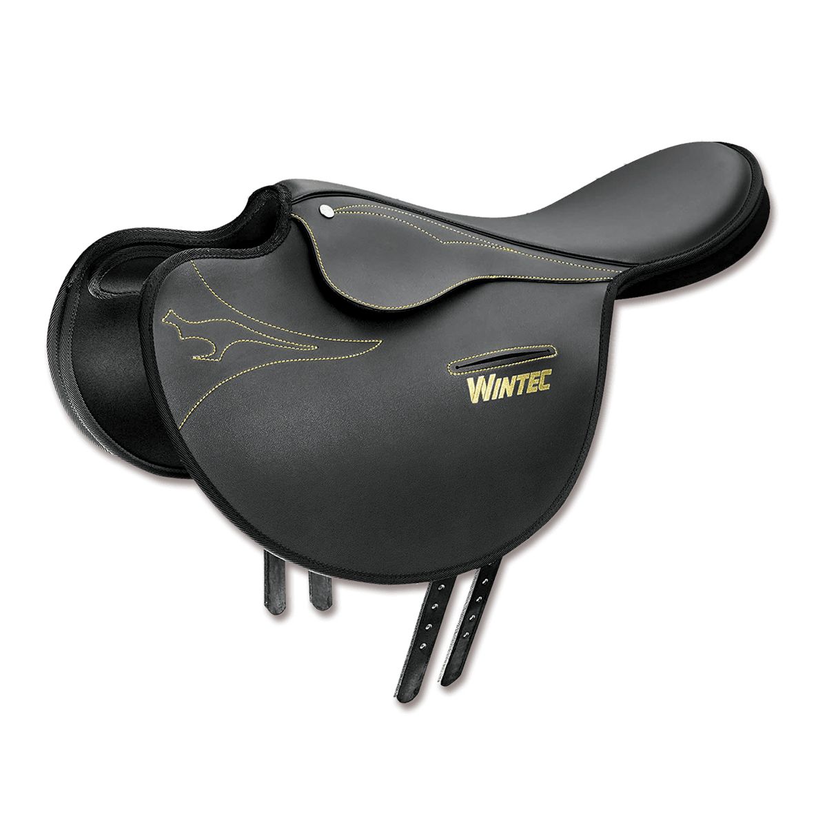 WINTEC Exercise Saddle