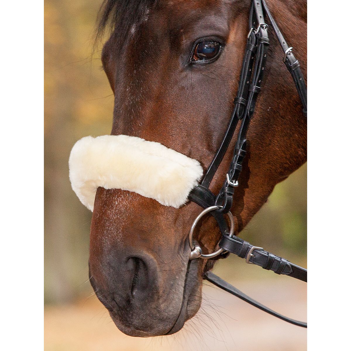 Real Lambskin Noseband or Headpiece Cushioning