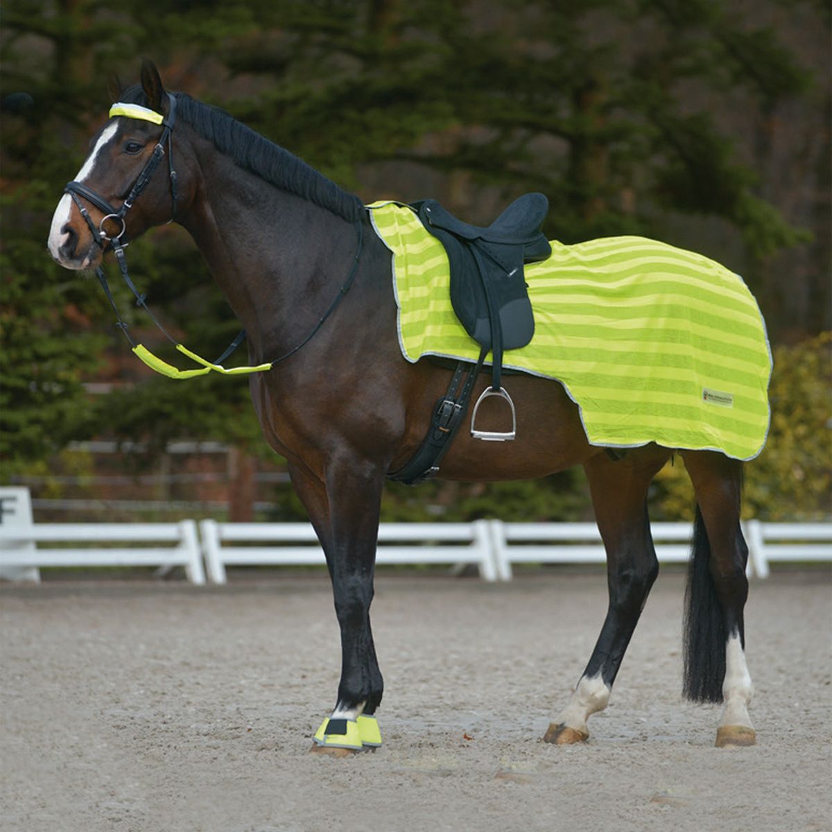 Reflex Rug with Lightstripes