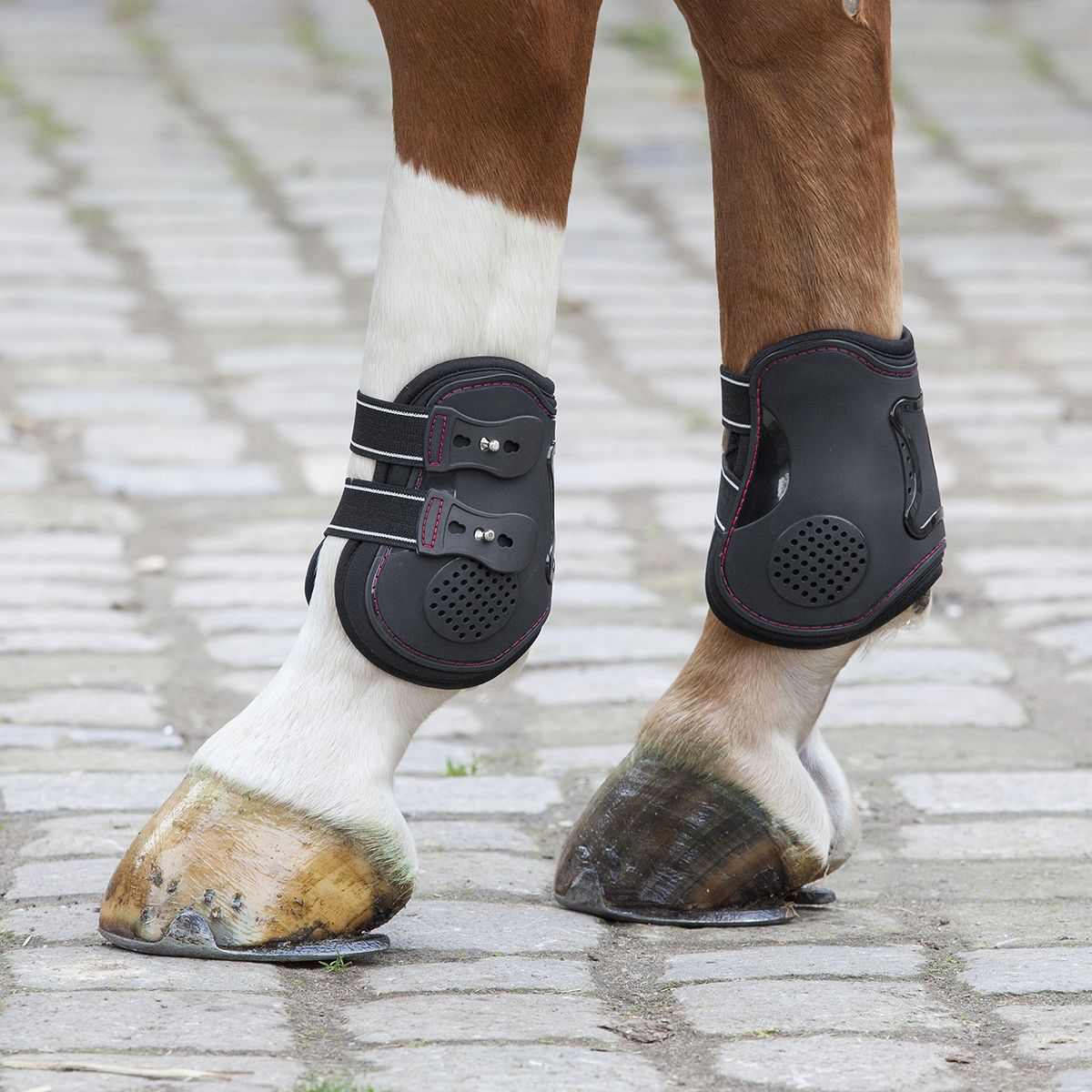 Fetlock Boots Memory Foam