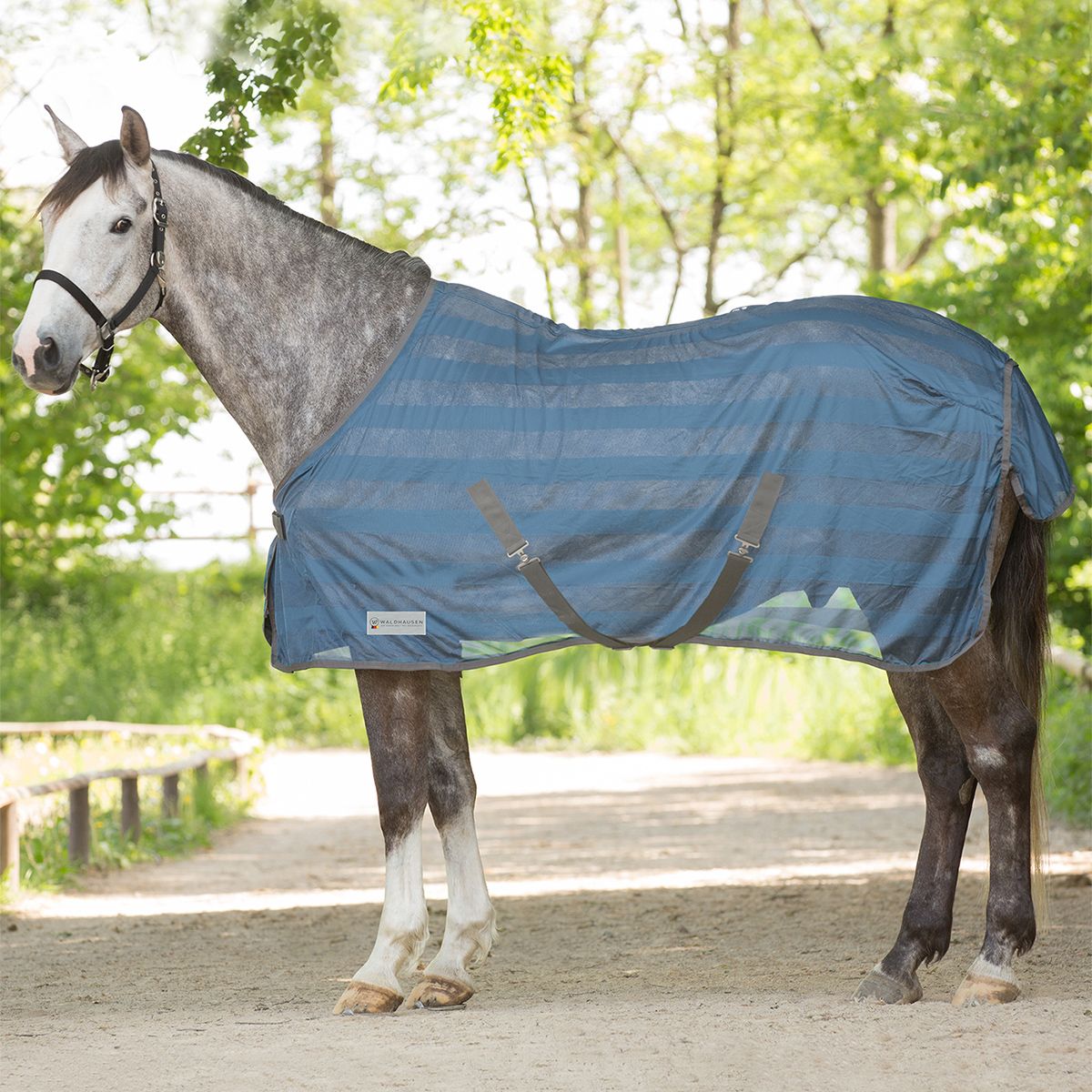 Economic Fly Sheet with Cross-Surcingles-Powder Blue-105 cm