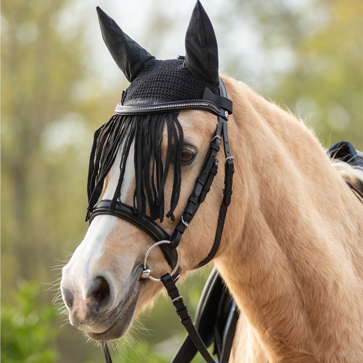 Fly Veil with Fringes