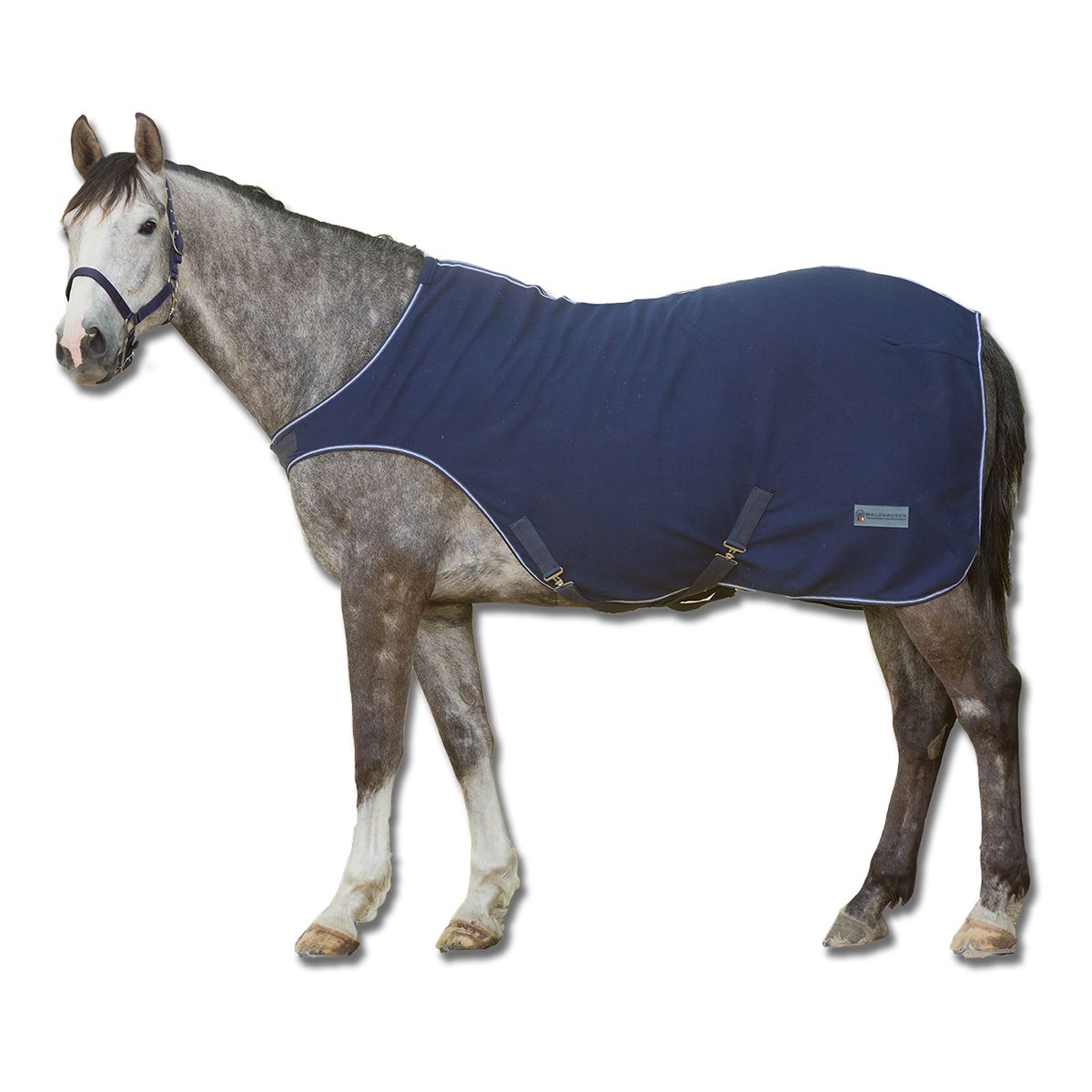 Economic Fleece Horse Walker Rug