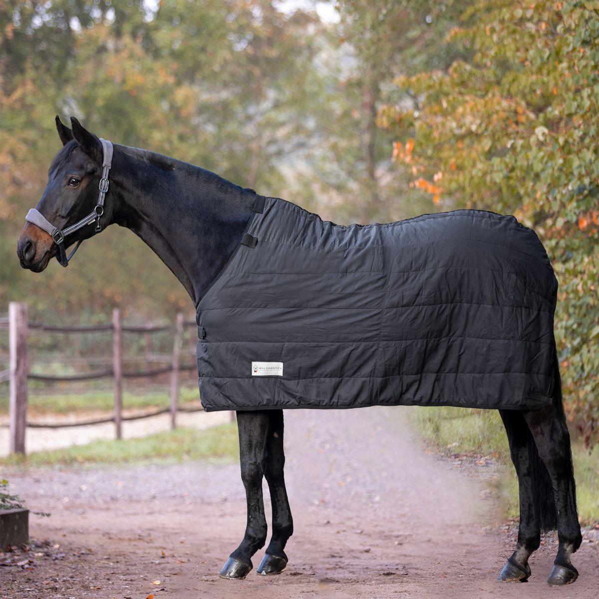 Economic Thermal Under Rug,100 g
