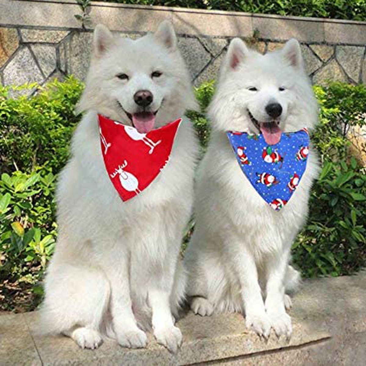 Oli and Lui Dog Bandana