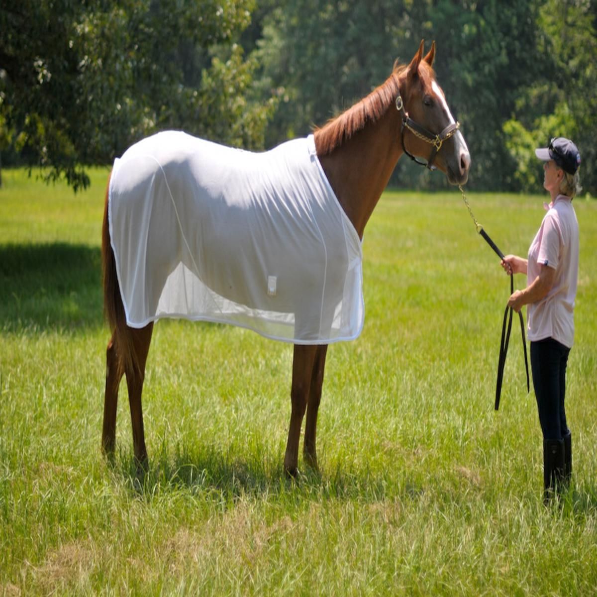 BodyGuard Therapeutic Flysheet