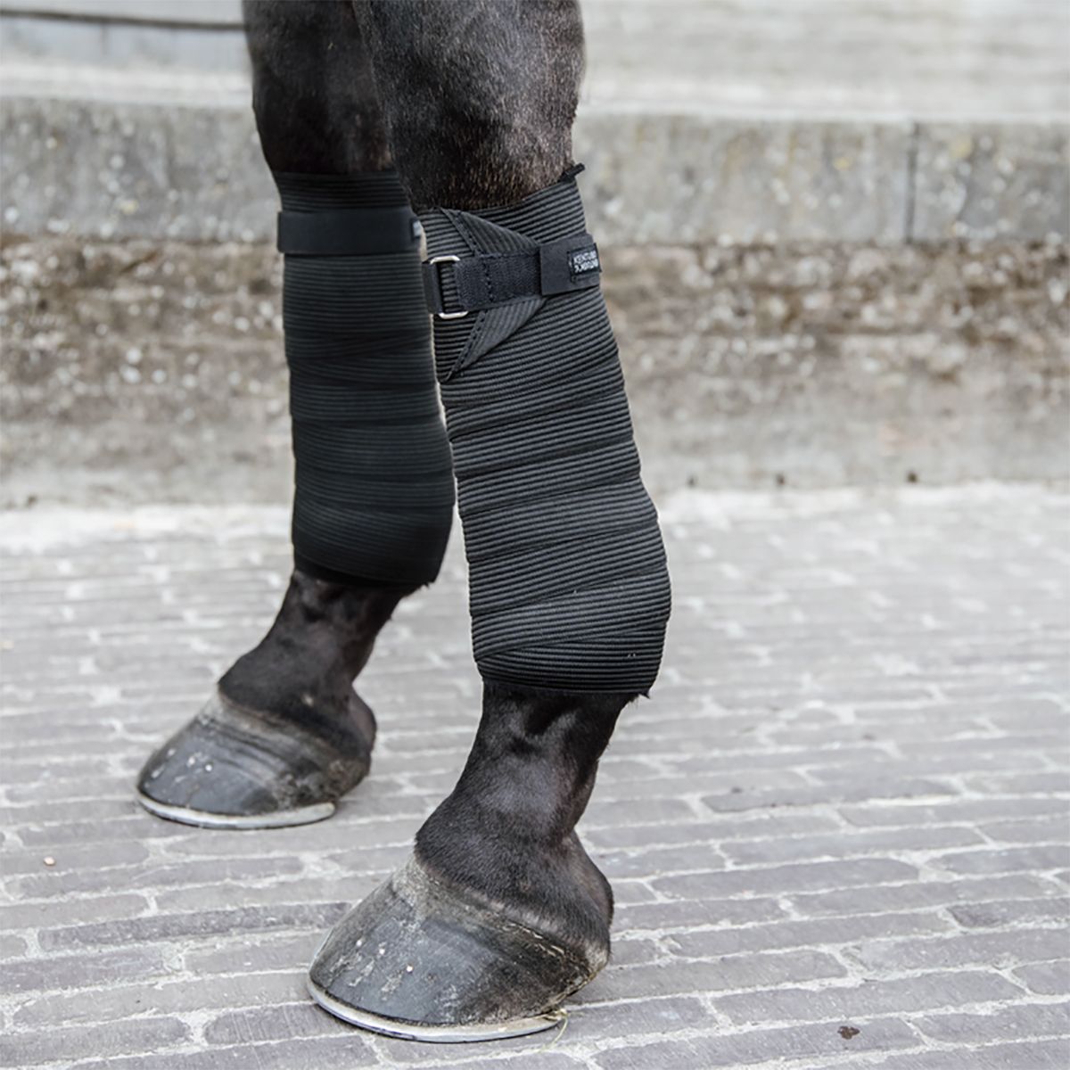 Kentucky Elastic Bandage