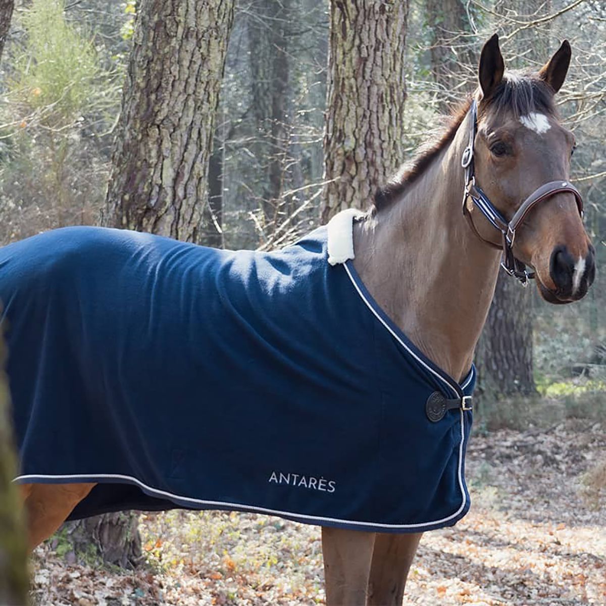 Antares Fleece Rug