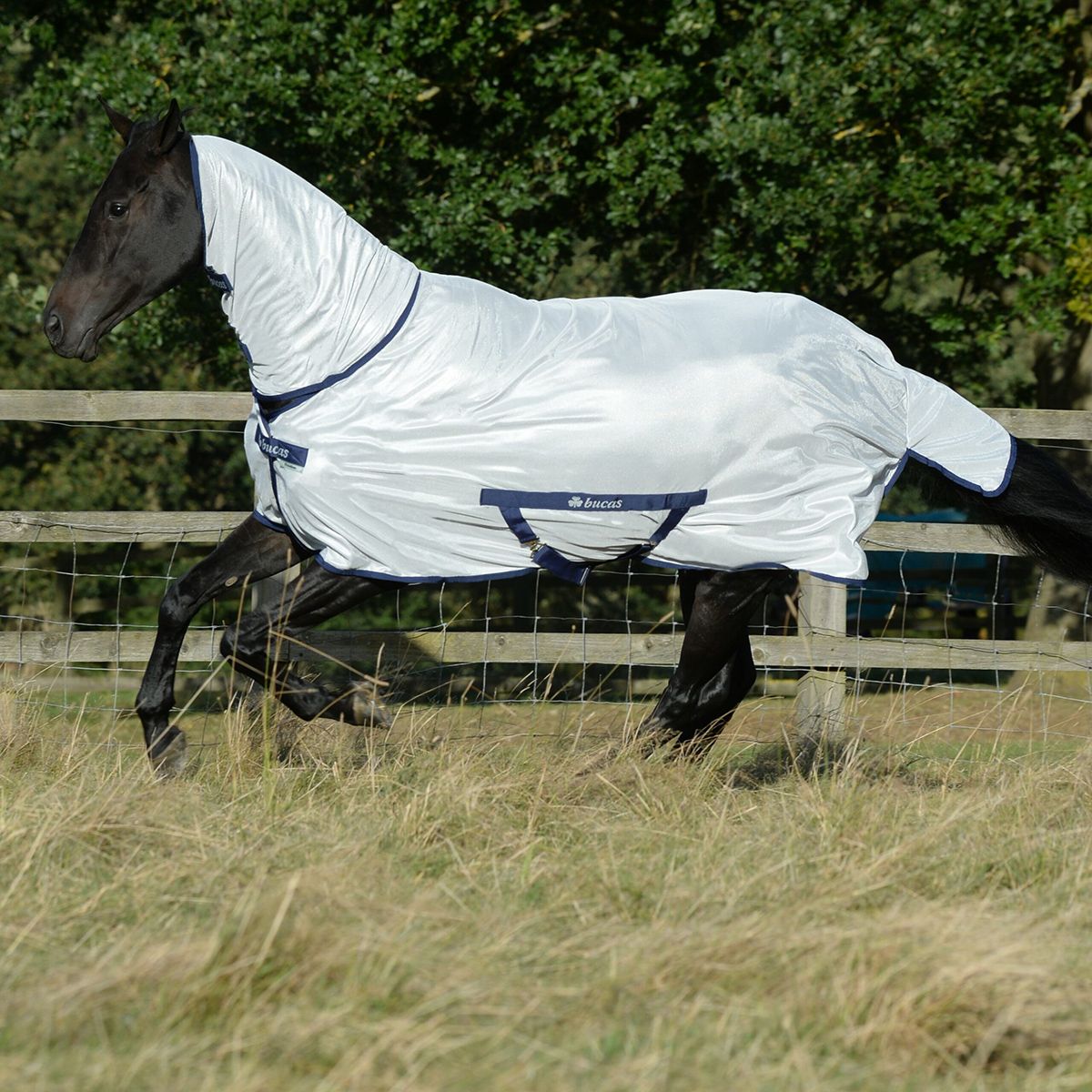 Bucas Freedom Fly Sheet