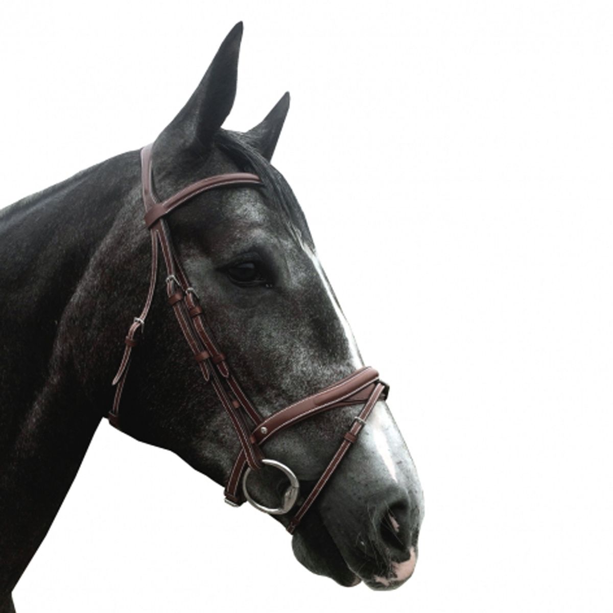 Silver Crown Comporta Headpiece With Half-Moon Flash Noseband