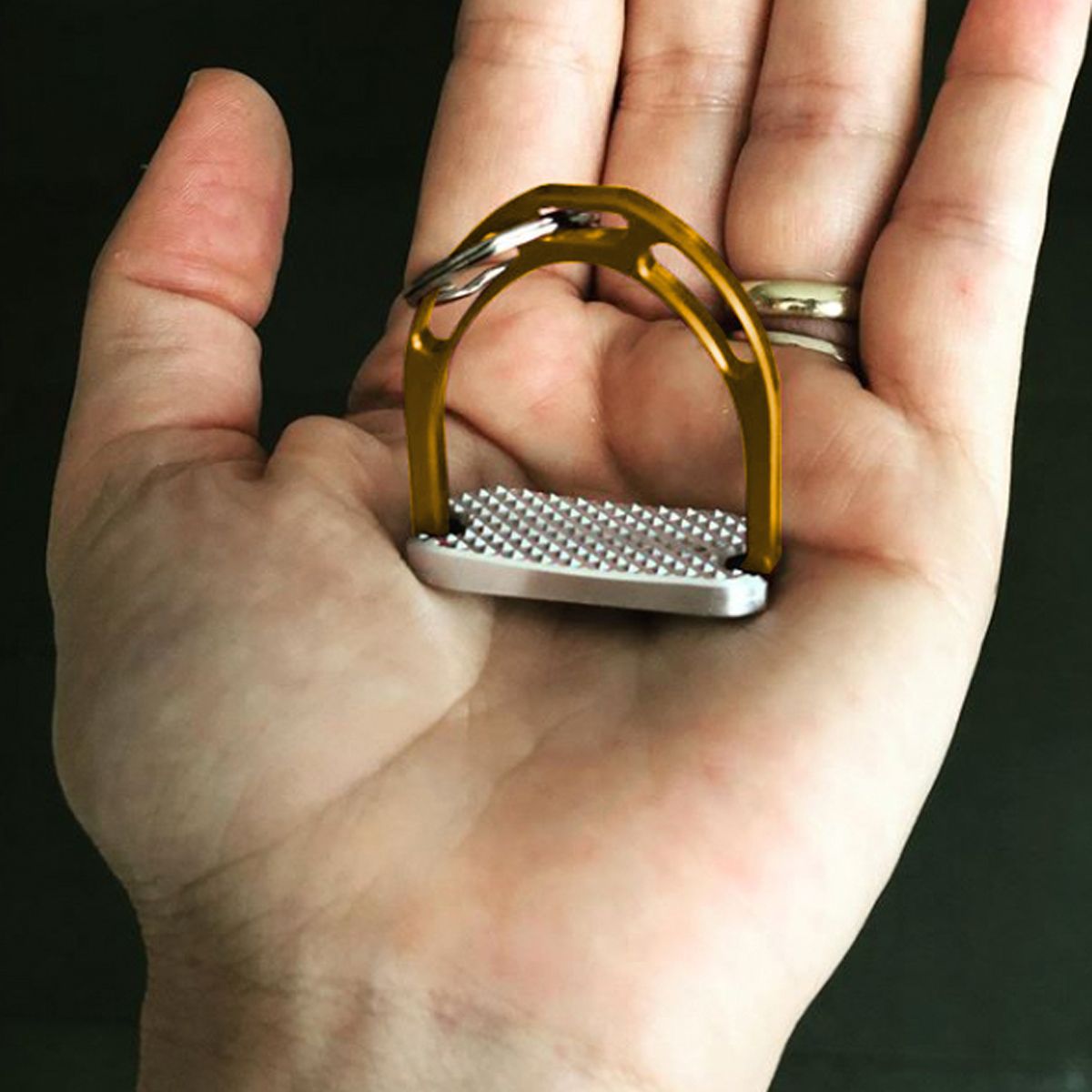 JIN Stirrup Key Chain Gold