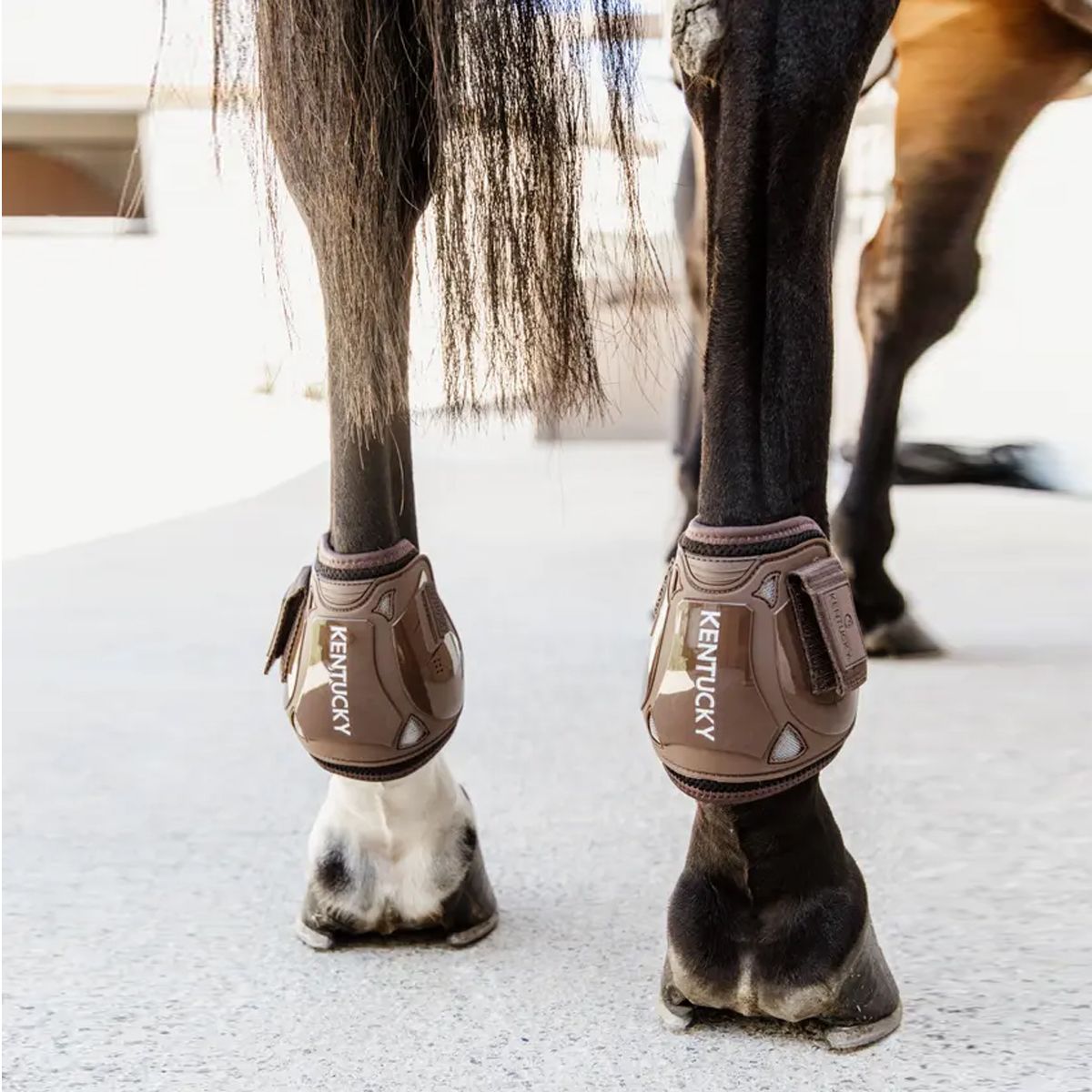Kentucky Moonboots Air Velcro