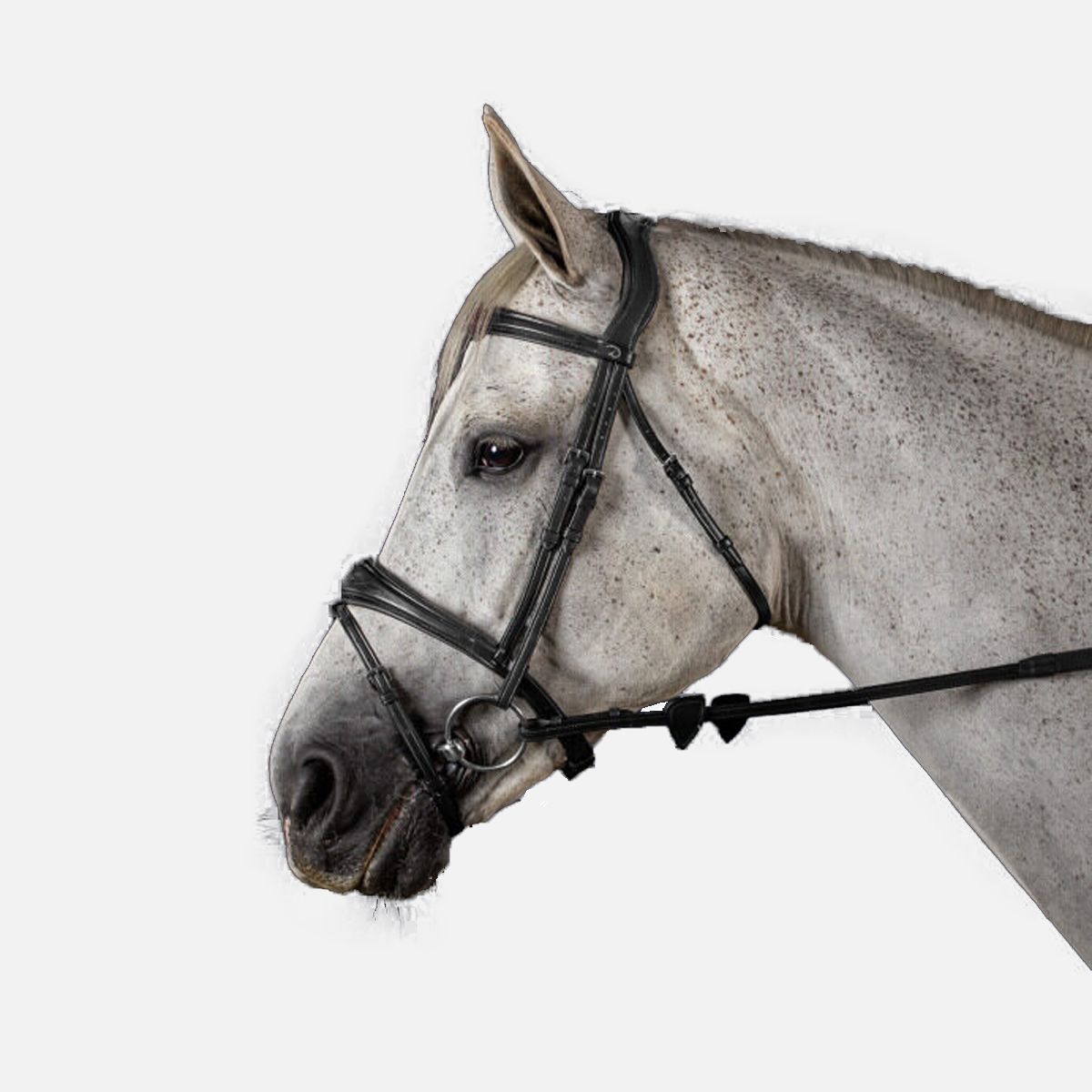 DY'ON Anatomic Flash Noseband Bridle New English Collection 