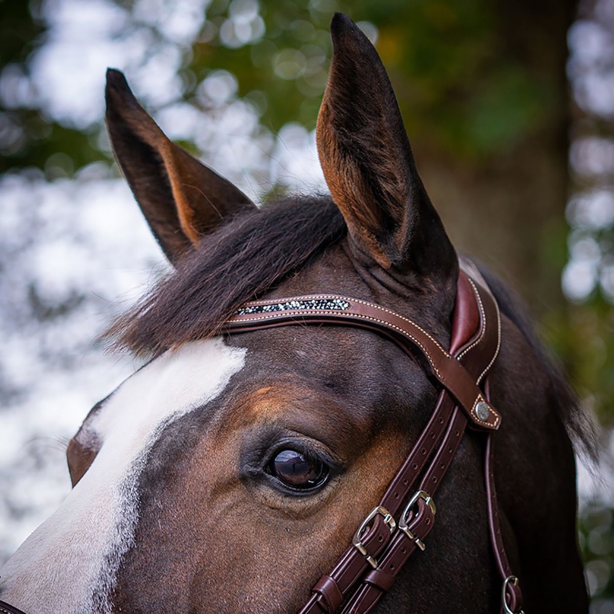 Antares Precision Crystal Browband