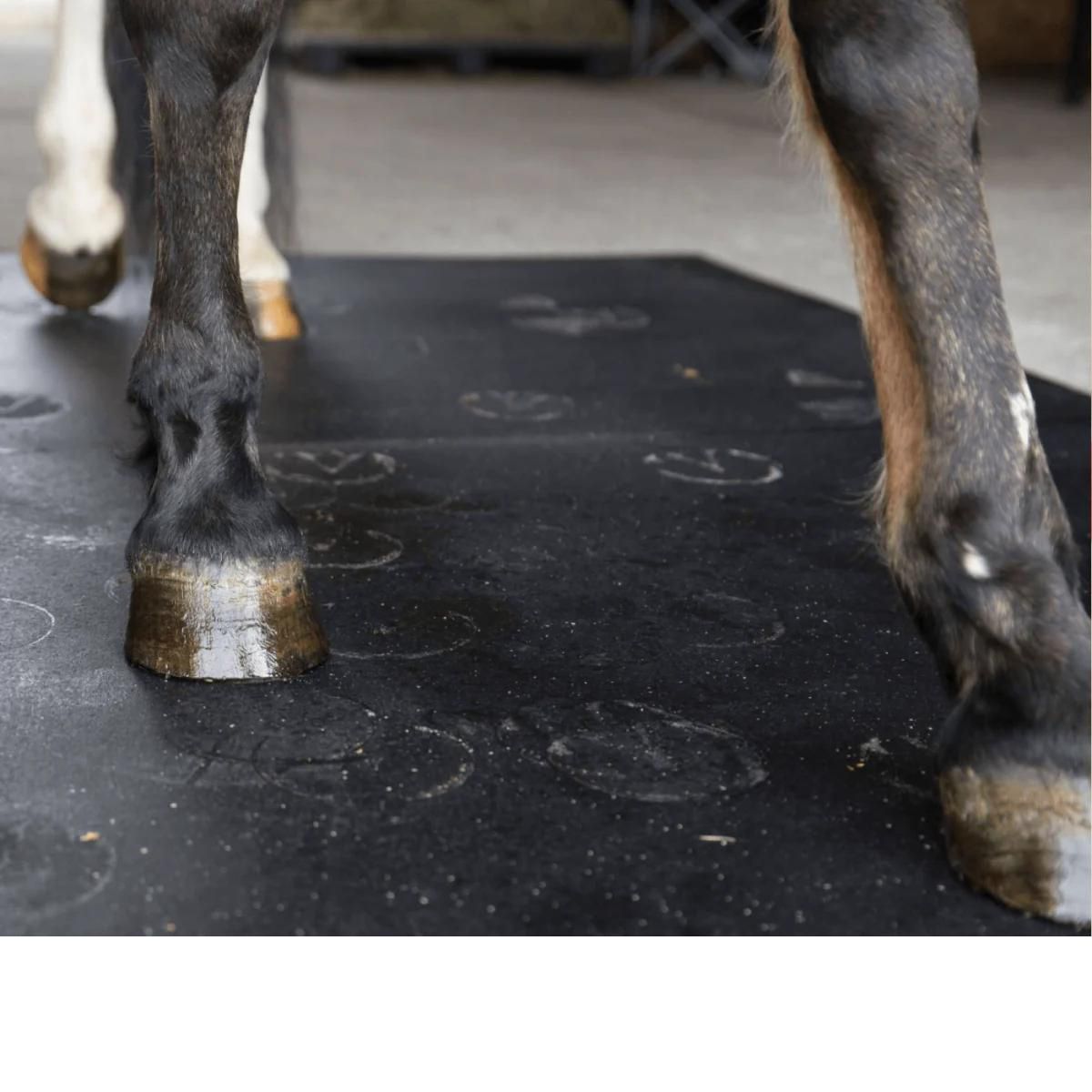 The HORSE BOX RUBBER MATS 3X3