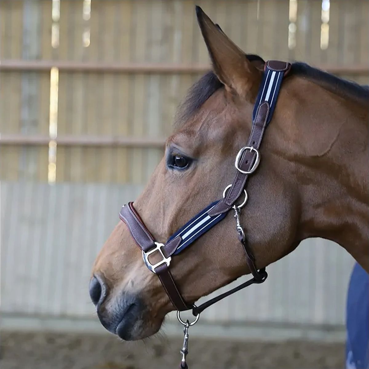 Antares Stressless Halter