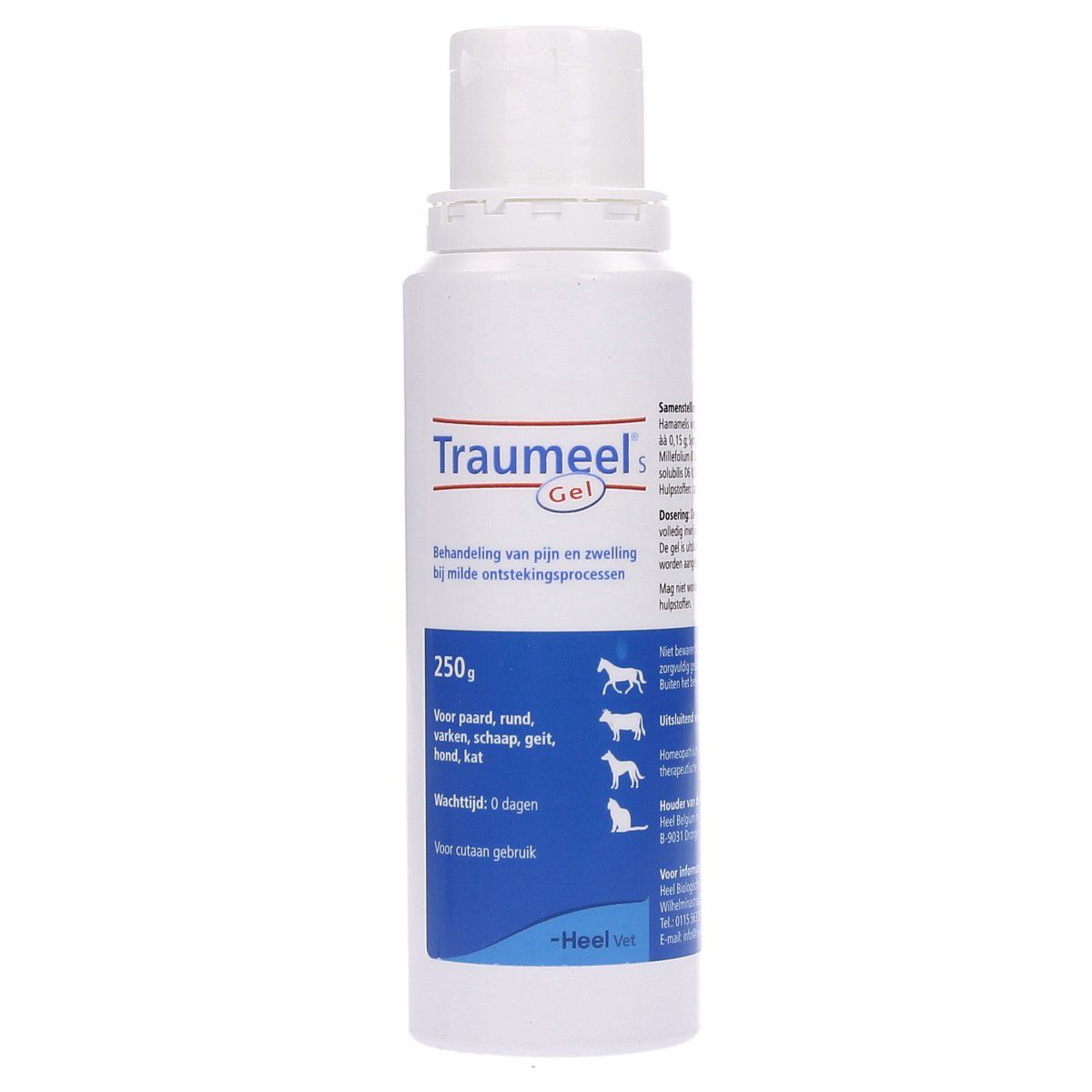 Traumeel S Gel