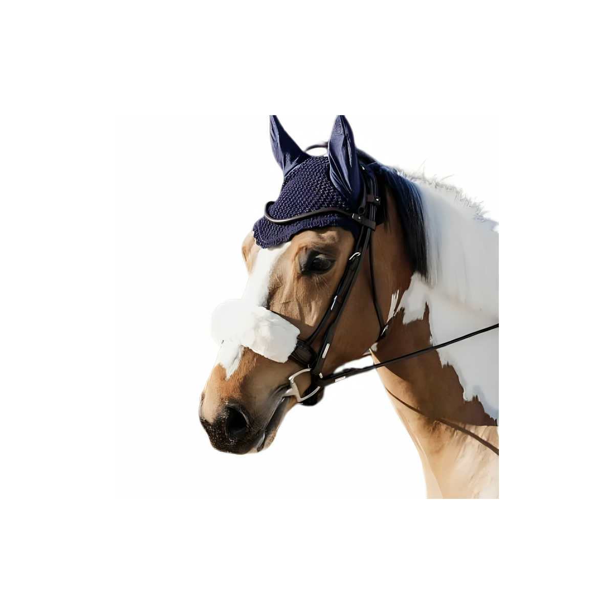 Kentucky Fly Veil