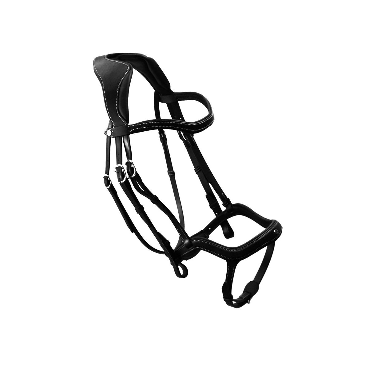 Antares Precision Y Noseband Bridle